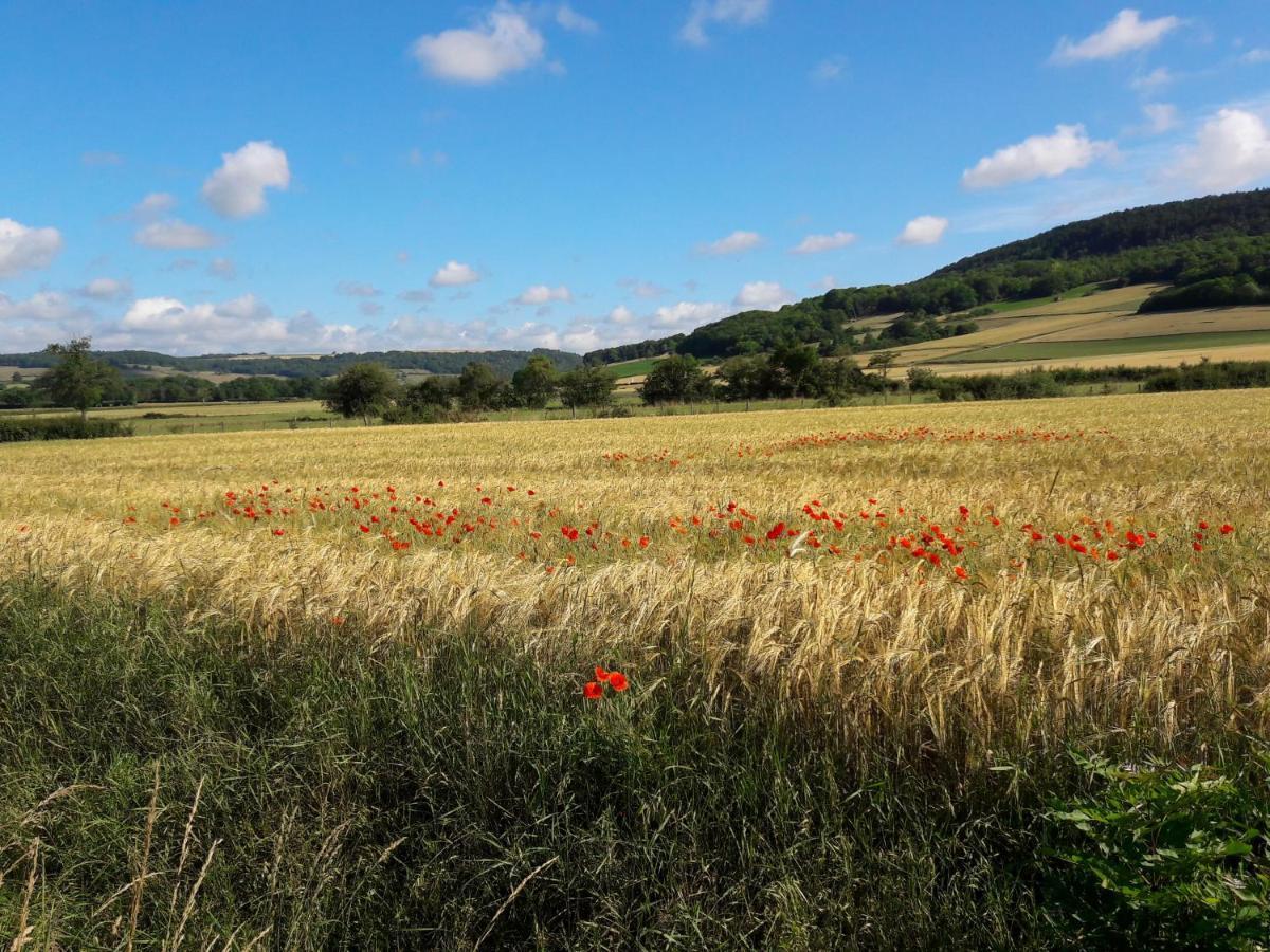Au Coeur De L'auxois - Tivauche-le-haut En Cote D'or Holiday home *